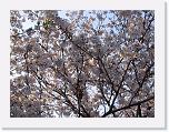 IMG_2220 * 2272 x 1704 * (1.3MB)