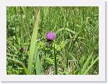 IMG_2302 * 2272 x 1704 * (1.09MB)