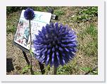 IMG_2541 * 2272 x 1704 * (1.86MB)