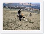 IMG_2791 * 2272 x 1704 * (1.58MB)