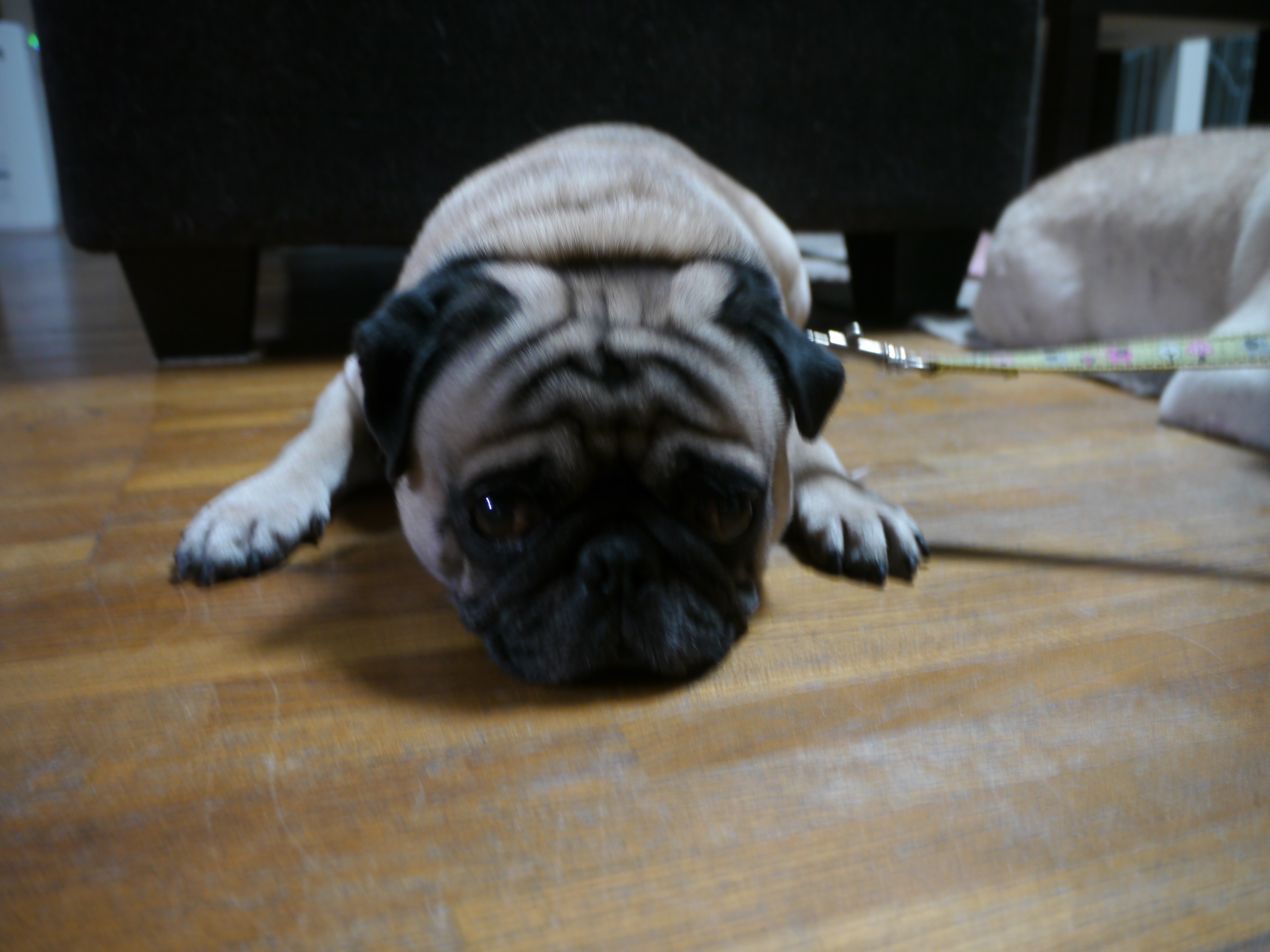 P1030042