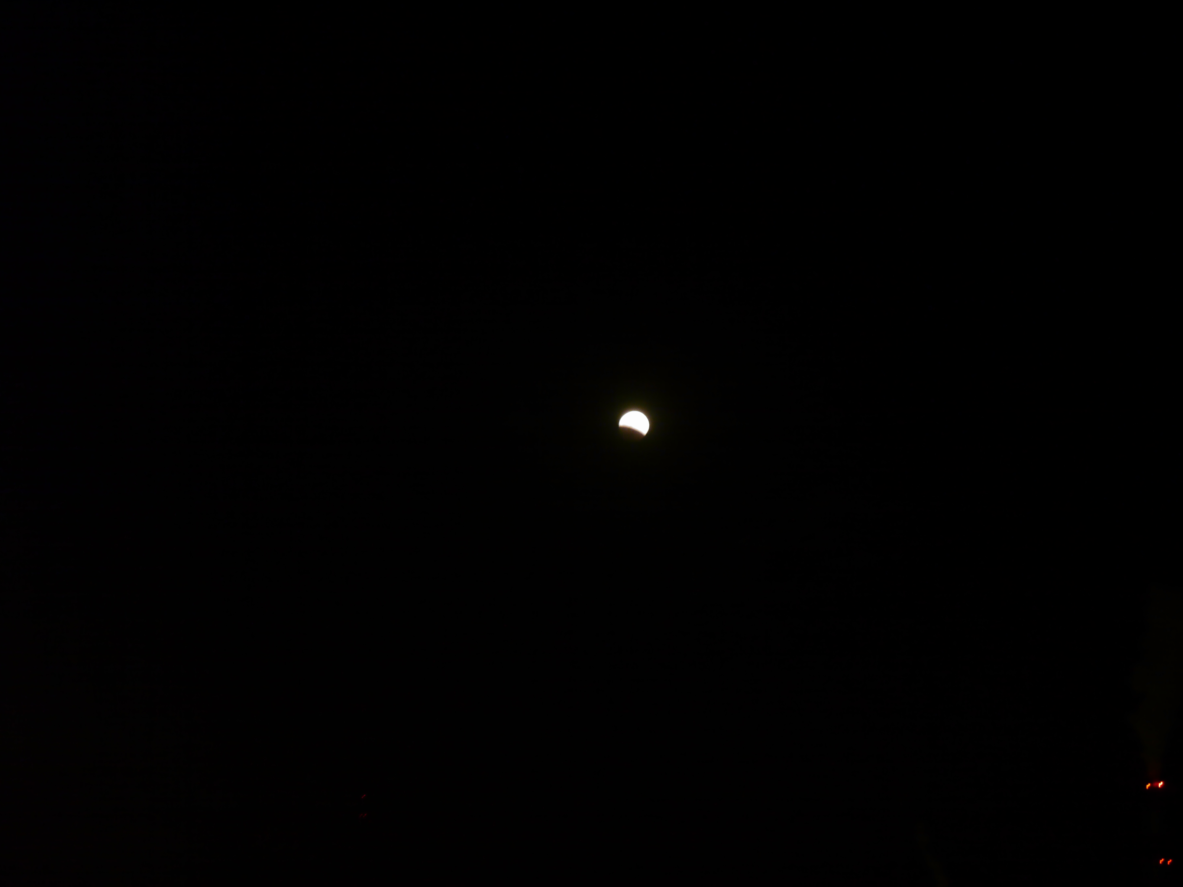 P1030124