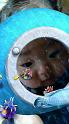 AR_EFFECT_20140709190123
