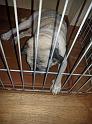 IMG_20160830_205727