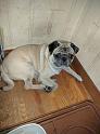IMG_20160830_205735