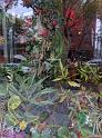 IMG_20160919_114635