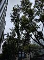 IMG_20160919_114848